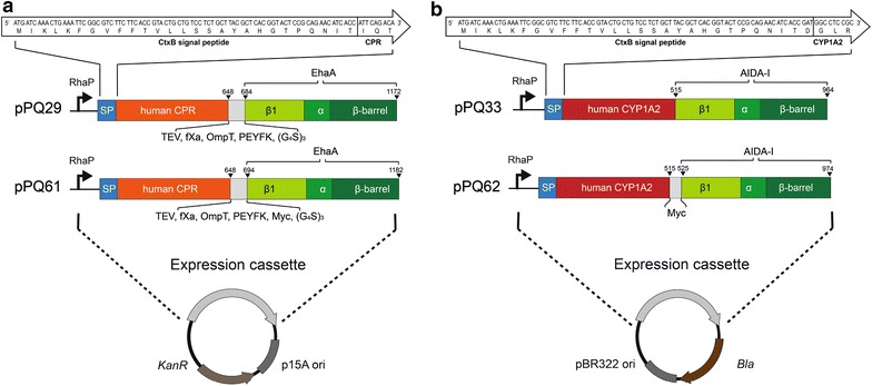 Fig. 2