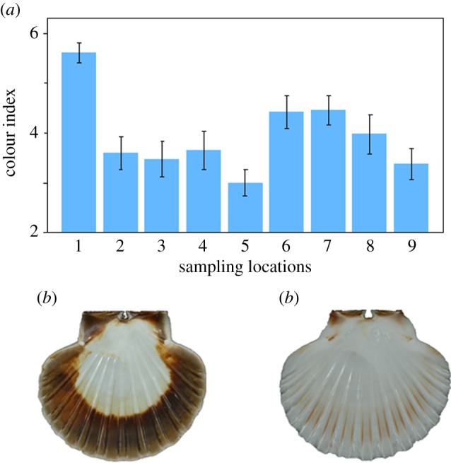 Figure 6.