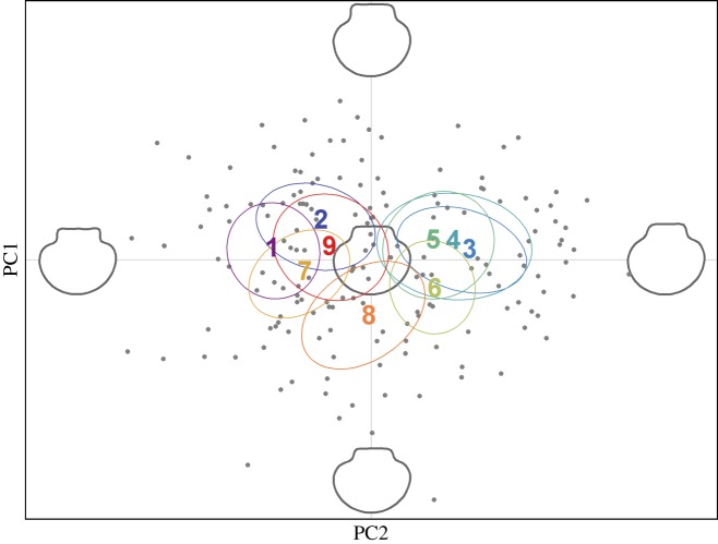 Figure 5.