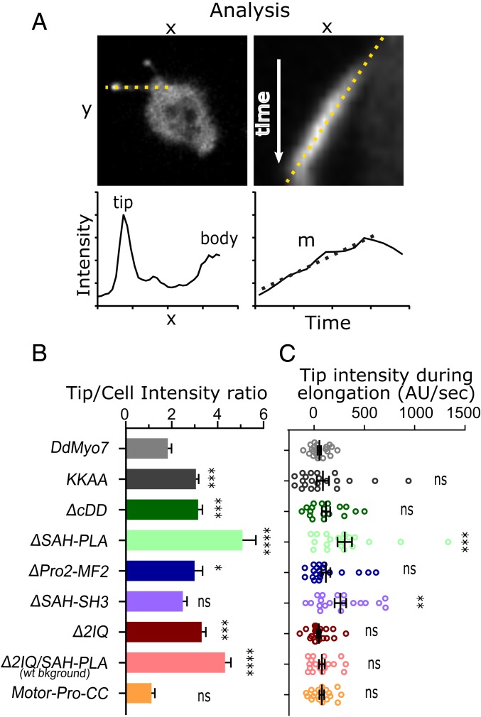 Fig. 7.