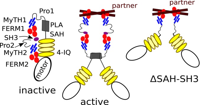 Fig. 8.