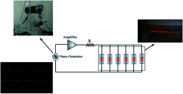 Fig. 12