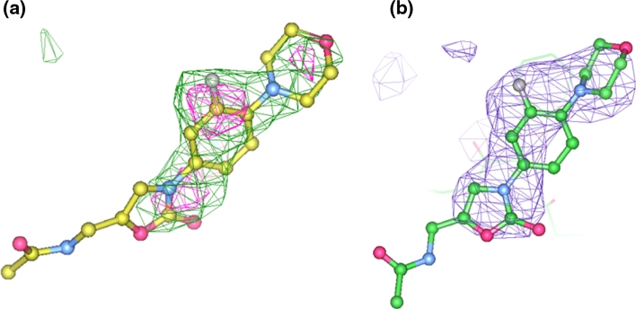 Fig. 1