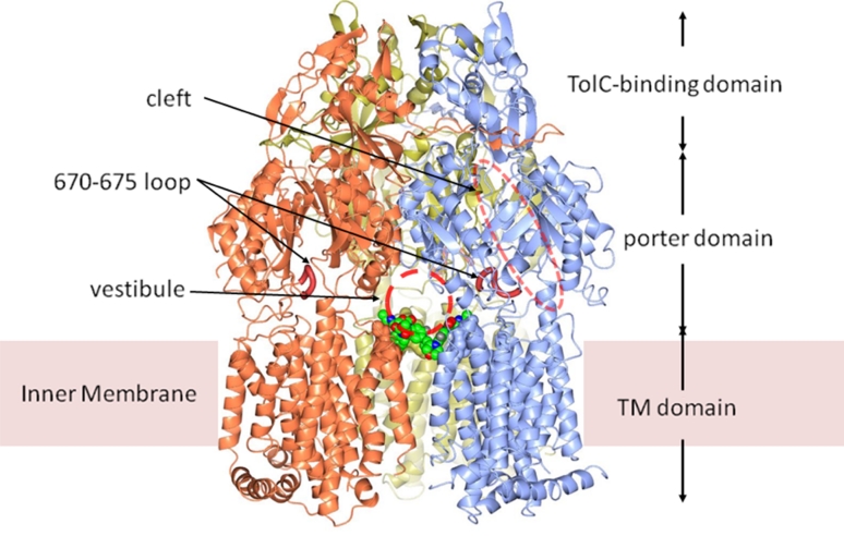 Fig. 2