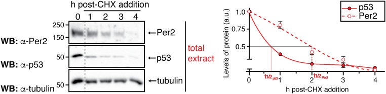 Fig. S4.