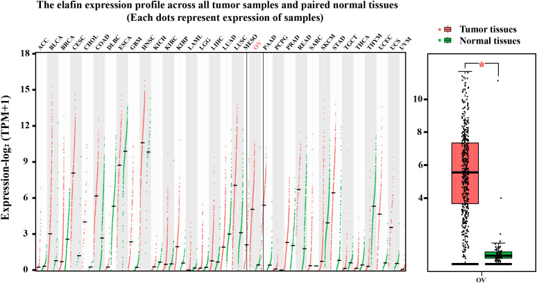 Figure 4