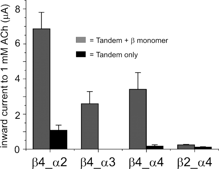 Figure 3. 