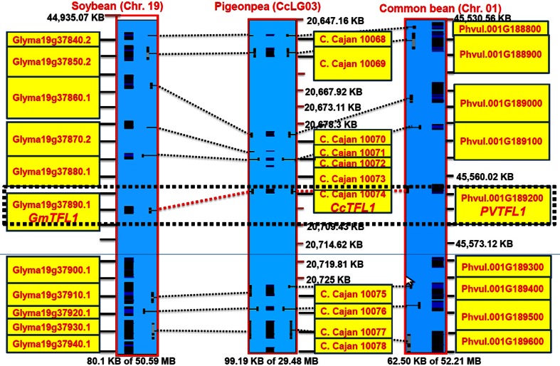 Fig. 8