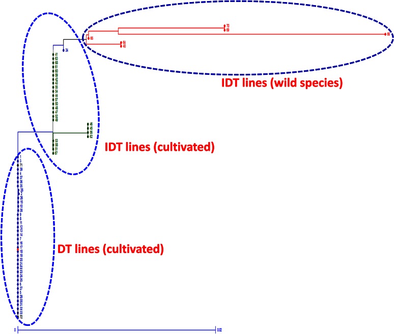 Fig. 3