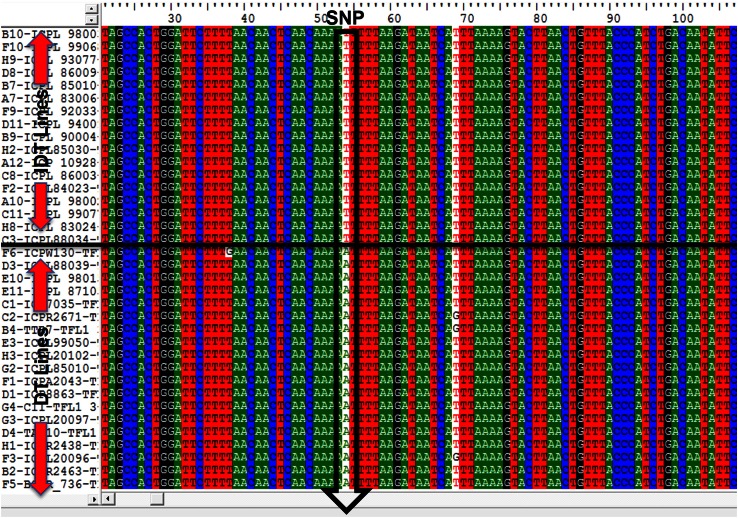 Fig. 1