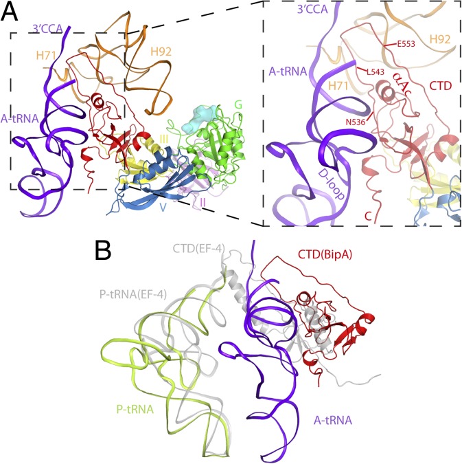 Fig. 5.