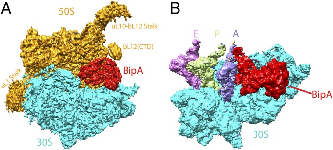 Fig. 2.