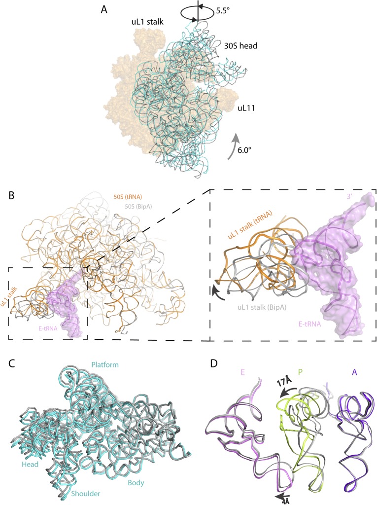 Fig. S6.