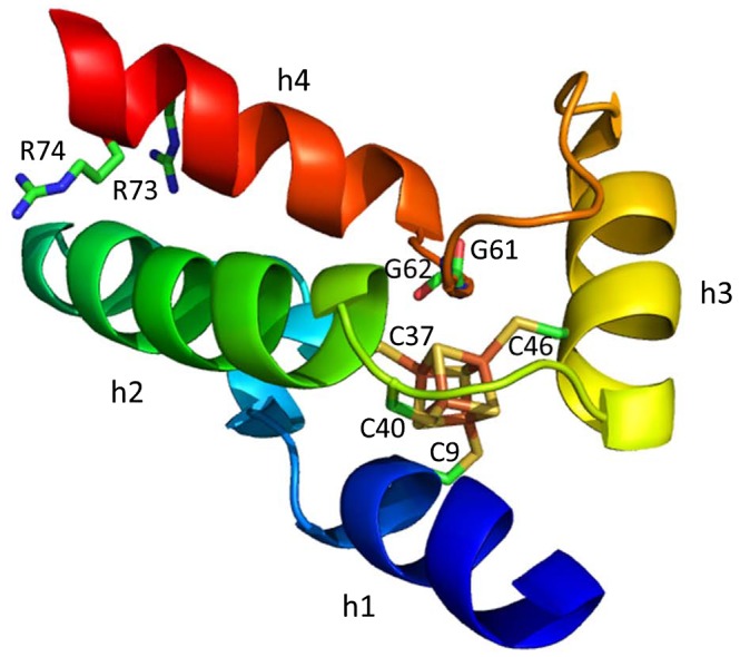 Figure 4