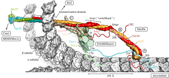 Figure 5. 