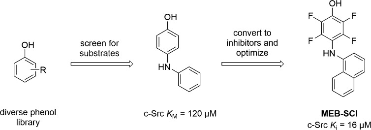 Scheme 2