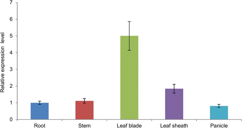 Fig. 7