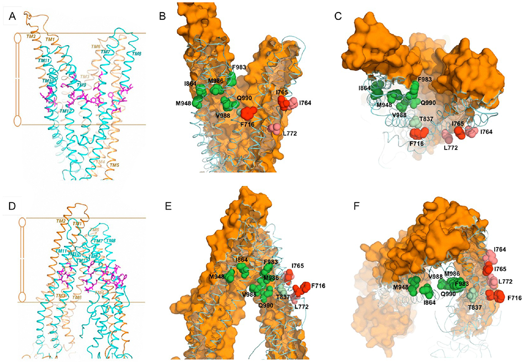 Figure 6.