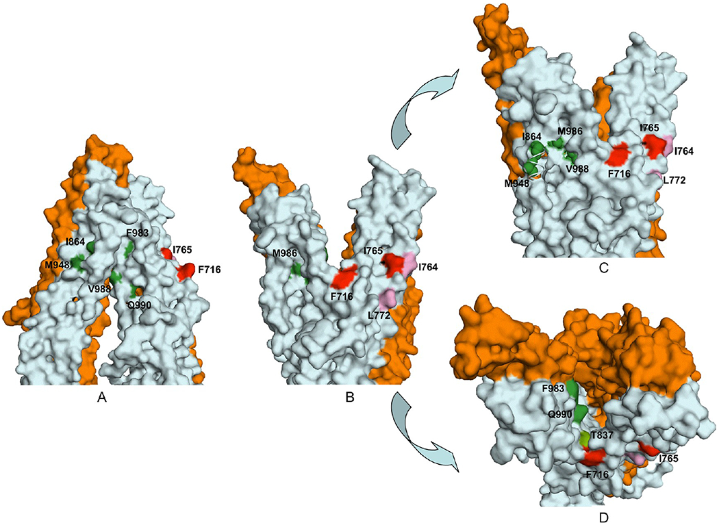 Figure 7.