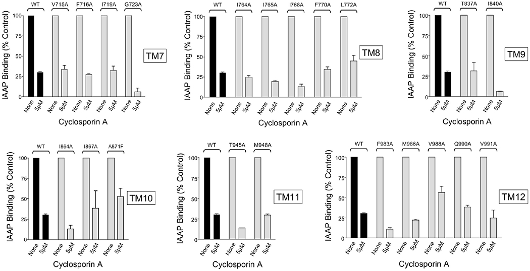 Figure 3.