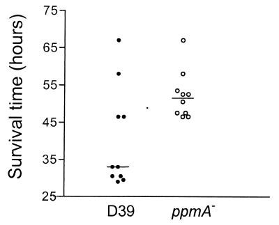 FIG. 8