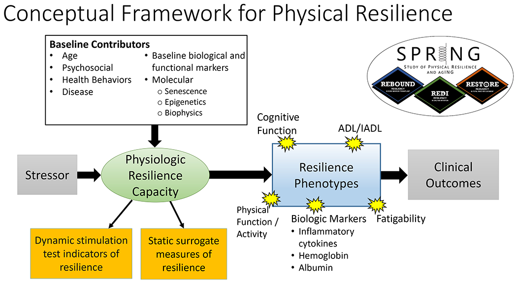 Figure 1: