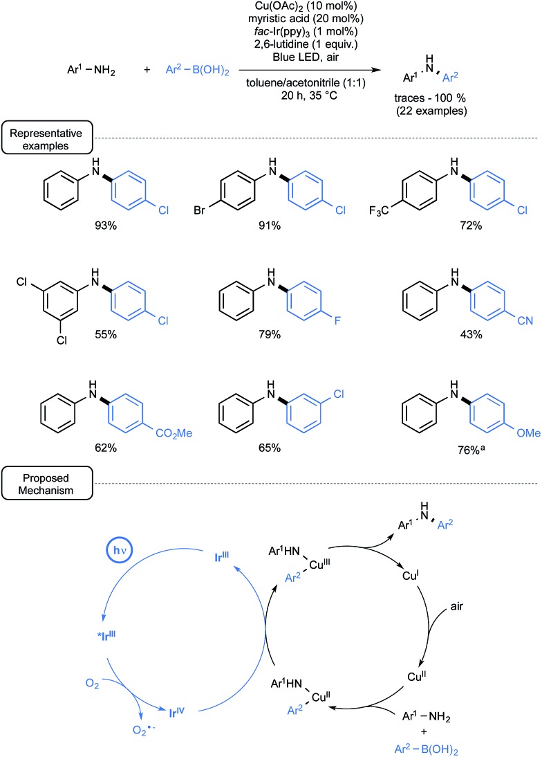 Scheme 30