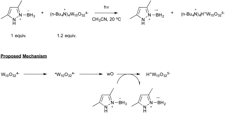 Scheme 16