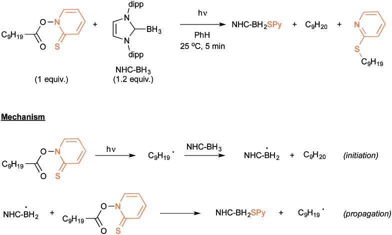 Scheme 15