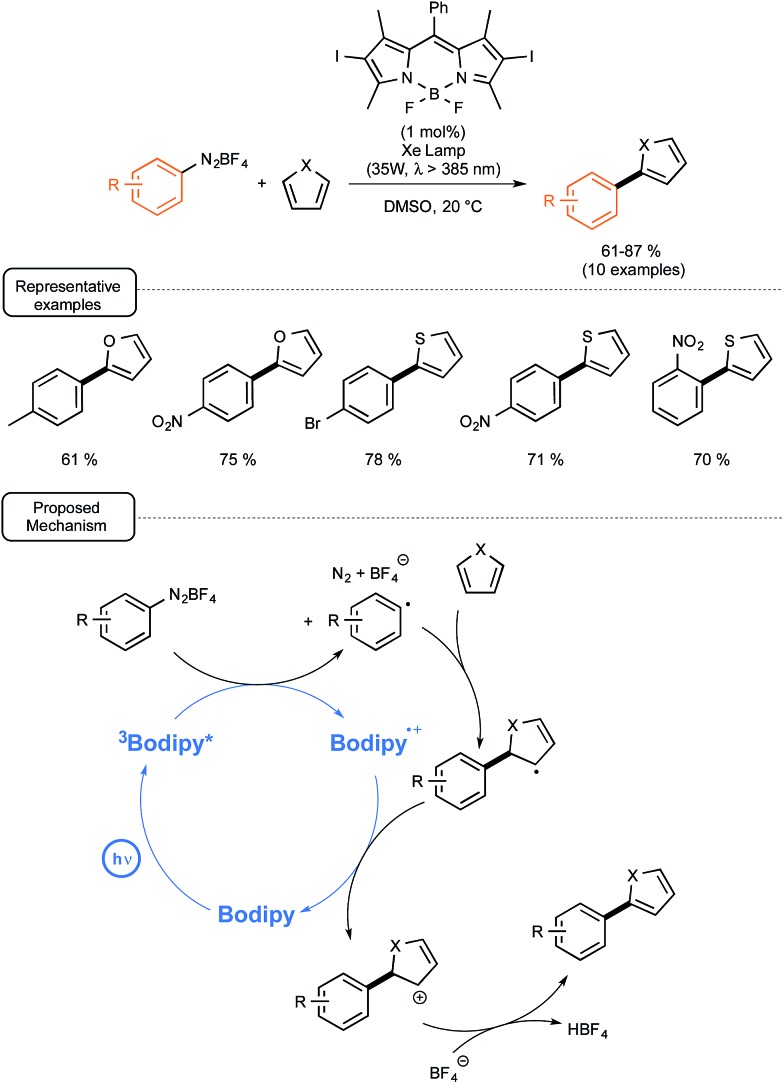 Scheme 25