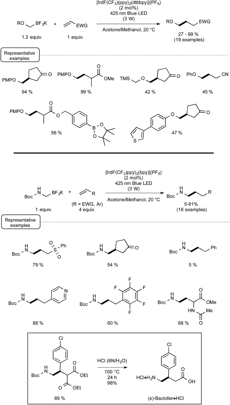 Scheme 6