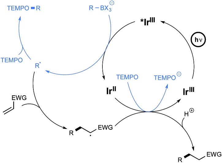 Scheme 4