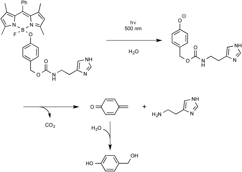 Scheme 27