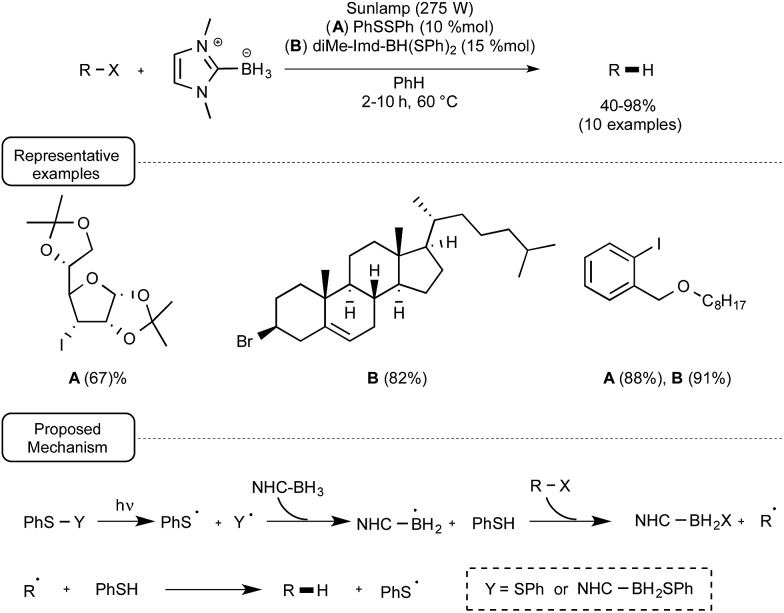 Scheme 19