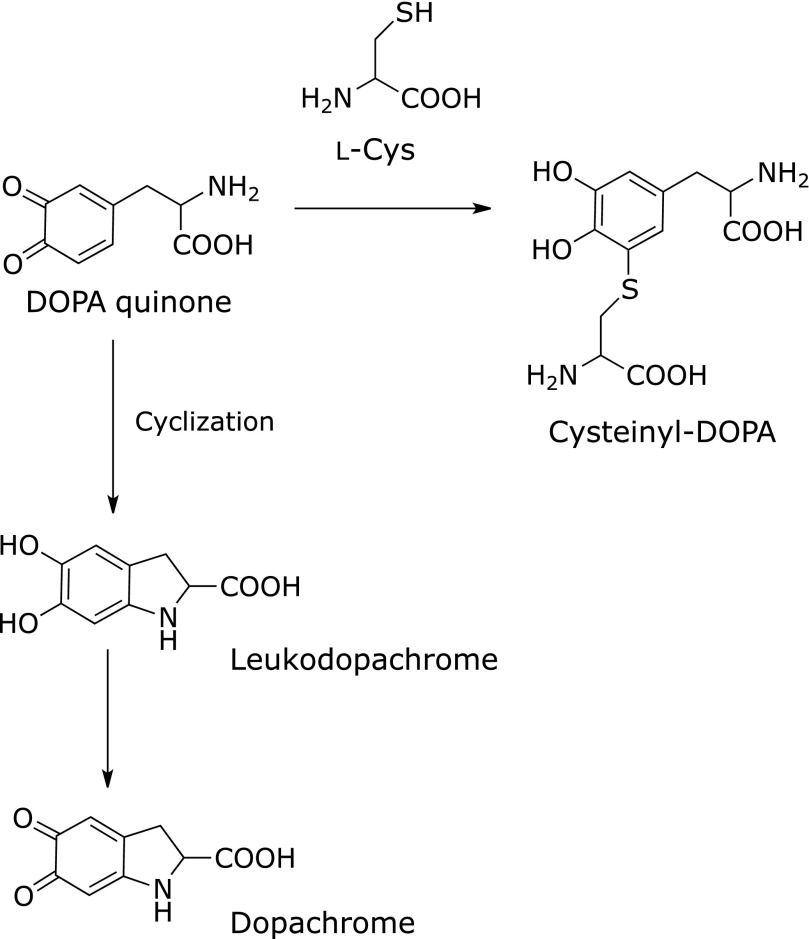 Fig. 4