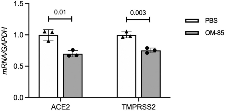 Fig E2