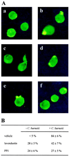 FIG. 5