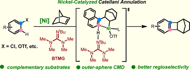 graphic file with name nihms-1974541-f0001.jpg