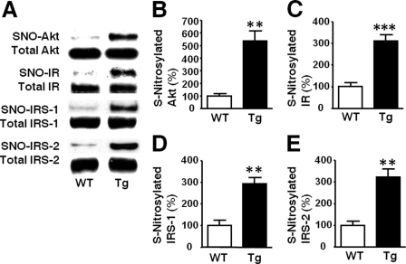 FIGURE 10.