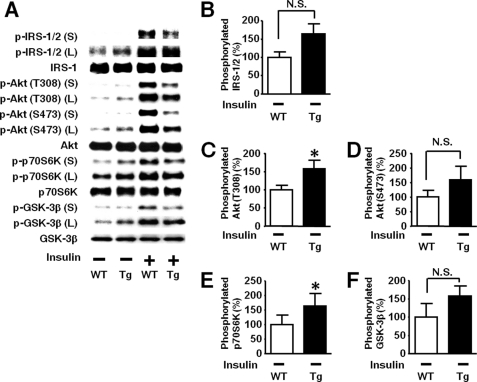 FIGURE 15.