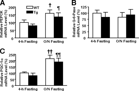 FIGURE 12.