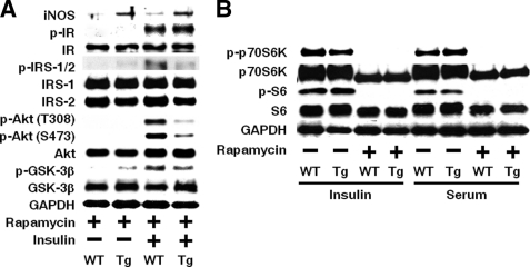 FIGURE 16.