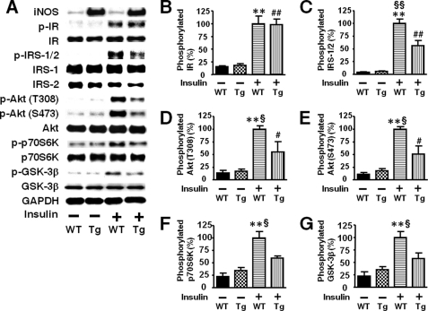 FIGURE 14.