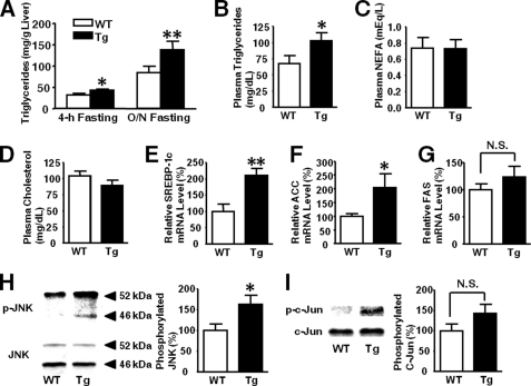 FIGURE 11.