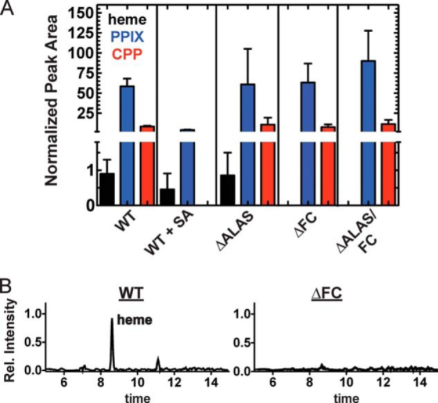 FIGURE 4.