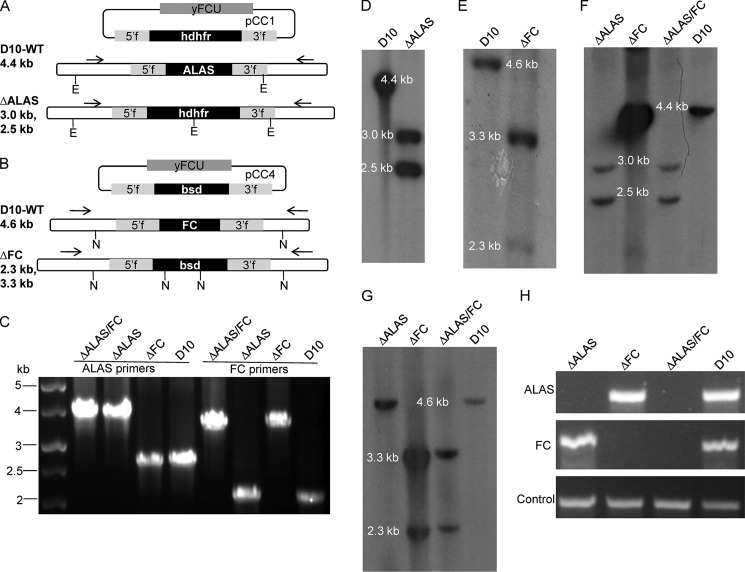 FIGURE 2.