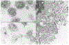 Figure 9.