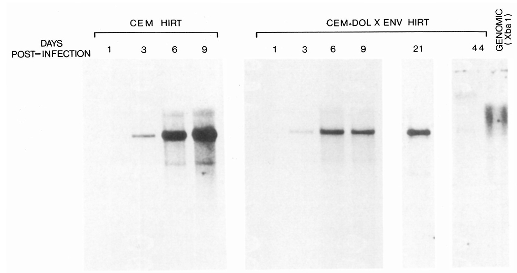 Figure 7.