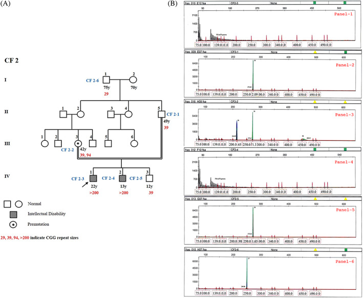 FIGURE 1