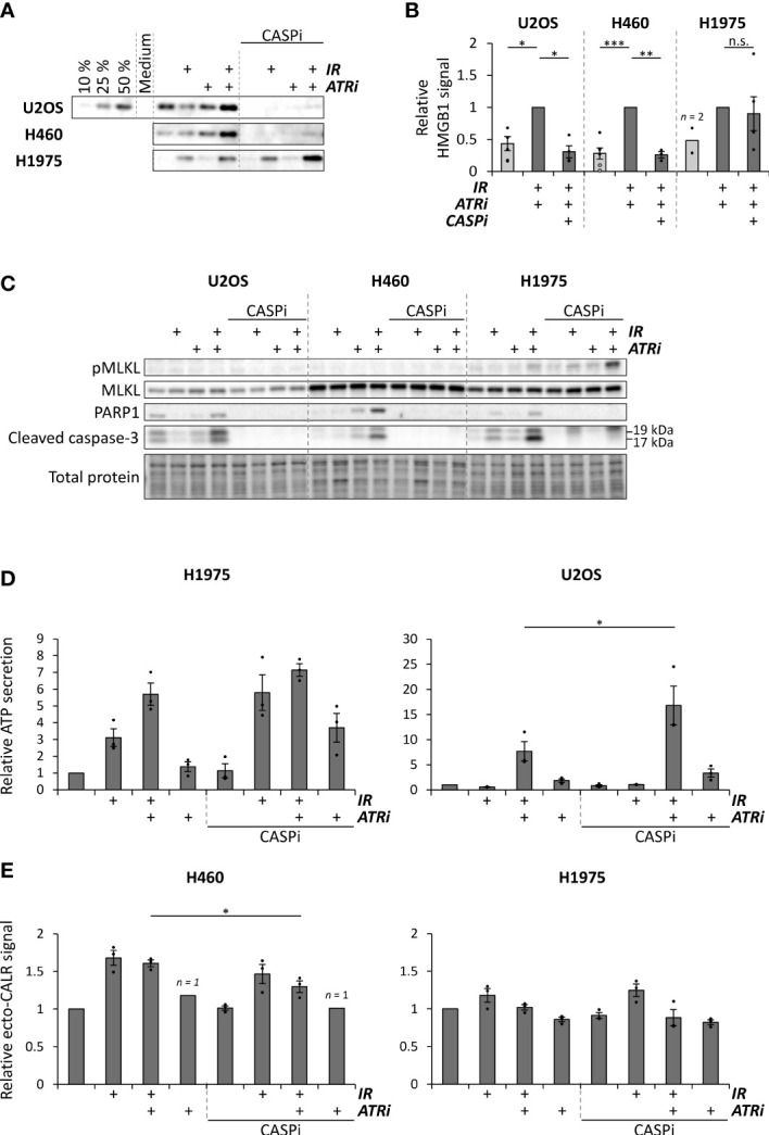 Figure 4